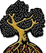 Olive Oil from the Olive Tree